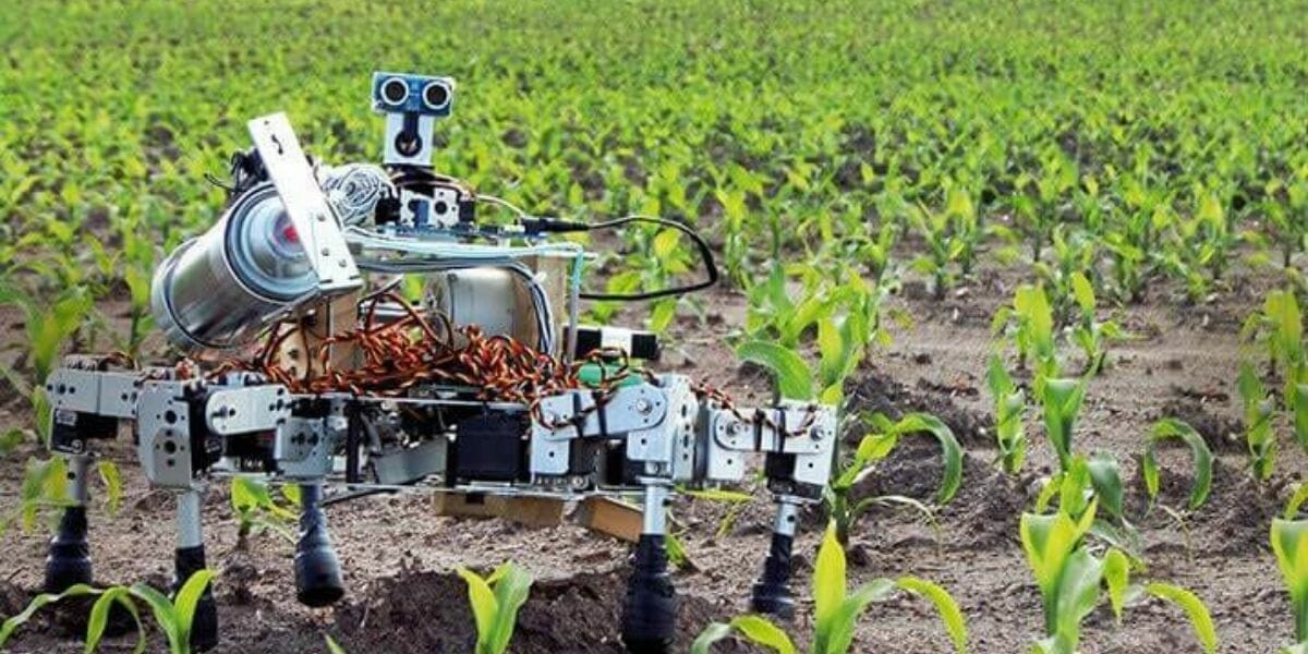 AI Agriculture